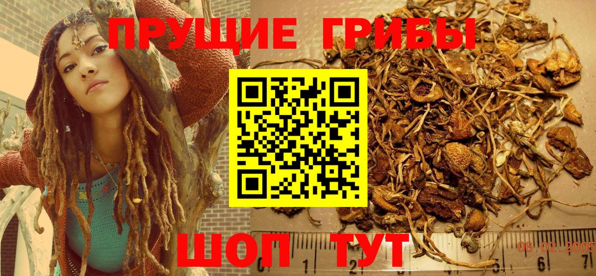 Псилоцибиновые грибы Magic Shrooms  Галлюциногенные грибы GOLDEN TEACHER  Вход с VPN  Сибай 